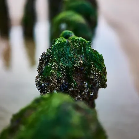 Sylt-sonne-meer شقة Sylt