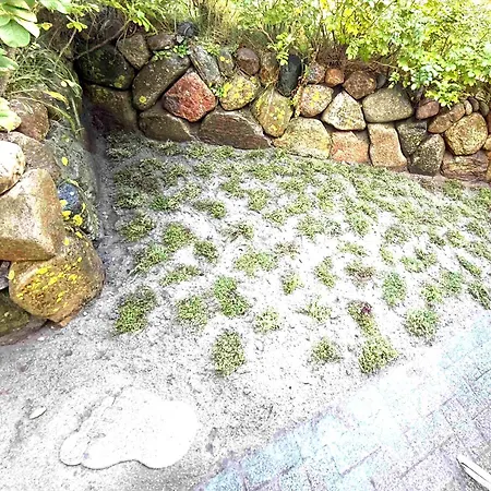 Sylt-sonne-meer Sylt