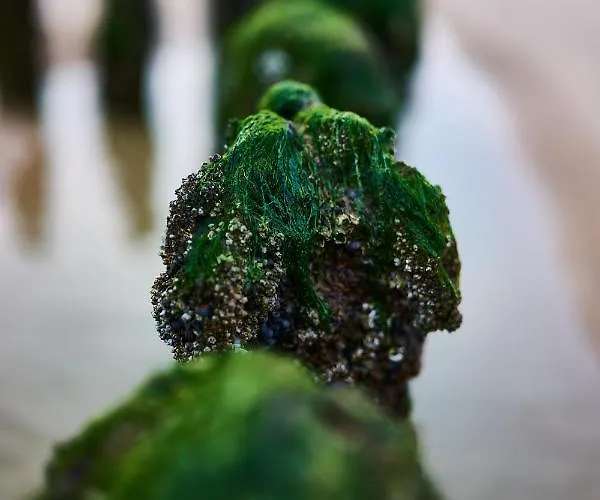 Sylt-sonne-meer 아파트 Sylt